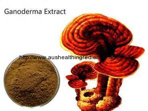What is Ganoderma lucidum Extract?