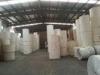 PE Coated Printing Paper Roll for Manufacturing Paper Blank / Paper Fan / Paper Cup Sheets