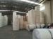 Customized Printing White PE Coated Printed Paper Roll for Making Paper Cups