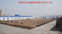 Shijiazhuang ZDHF Stock-raising co., Ltd