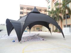 Dia.3m/4.5m/6m Arch Tent Spider Tent
