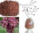 Grape Seed plant extract