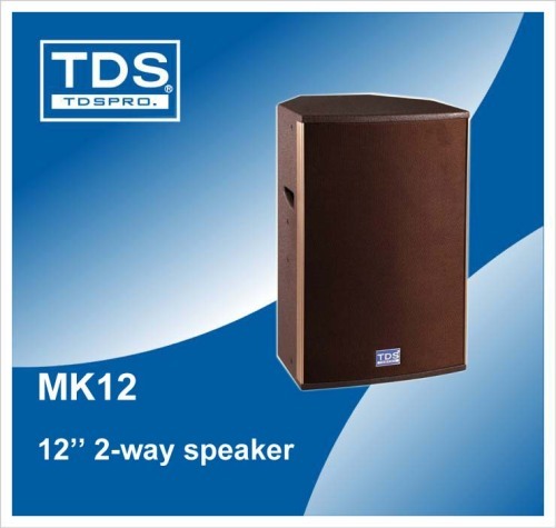 12 inch PA Speaker system for live sound equipment