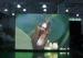 High Definition Waterproof LED Wall Panel / Wireless LED Advertising Screen