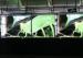 Commercial Advertising Waterproof Outdoor LED Screen P6 LED Video Wall