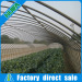 Low Cost Agricultural Plastic Arch Single Span Greenhouse
