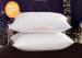 Soft Hotel Comfort Pillows 233T Down Proof Fabric Rectangle 1200g / pcs