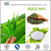 Natural Pure Plant Green Tea Extract EGCG Powder