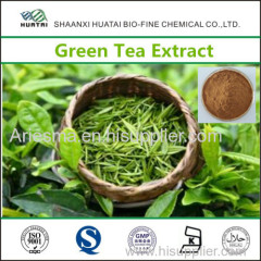 Green Tea Extract Powder for Weight Loss