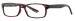 Big size Fashionable demi Custom Reading Glasses