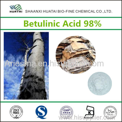 White Birch Bark Extract Betulinic 98% Powder 472-15-1