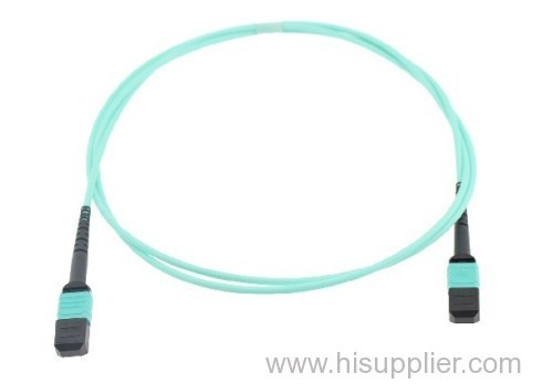 MPO / MTP Connector Interface Patchcord