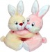 Tabby Toys Cute & Sweet Bunny Couple Teddy