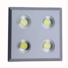 JMLUX LED Ceiling Lamp-JMXDF