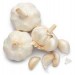 shandong fesh pure white garlic