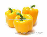 Fresh Pepper (Color:Yellow Flavor:Sweet)