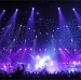 flash led light led grow light christmas lights curtain led display fiber optic curtain