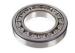 Open Type Bearing Steel Single Row Cylindrical Roller Bearing 75*160*37