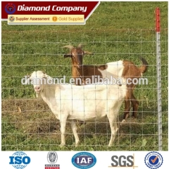 Corral Horse Fence/Sheep Wire Mesh Farm Field Fence ISO9001