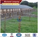 High Joint Knot Field Fence Mesh for Animal