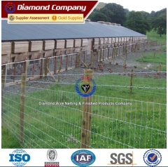 Australia Market Popular Sheep Wire Mesh Fence