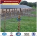 Hot sale Galvanized Cattle Fence (hot sale)