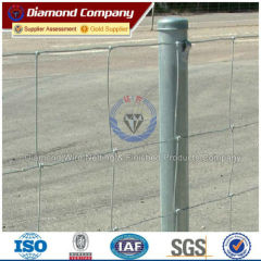 Hinge Joint Galvanized Deer Farm Fencing / Deer Farm Fencing (Factory)