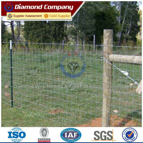 2016 Hot Sale High Tensile Strength Sheep Wire Fence