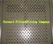 Stainless Steel 304 Perforated Metal Sheet / Perforated Metal Ceiling Panels