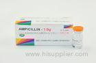 BP Standard Ampicillin Sodium Injection 1.0G / 0.5G With 3 Years Expiration