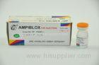 250MG + 250MG Ampicillin Cloxacillin Injection Medicines 1*10 Vials / Box 50 Vials / Box
