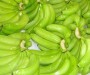 Fresh Green Cavendish Bananas