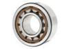 Nylon Cage Single Row Bearing Steel Cylindrical Roller Bearing 20*47*14