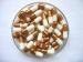 White And Gold Halal Empty Medicine Capsules Empty Clear Pill Capsules