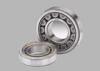 Professional KOYO Single Row Cylindrical Roller Bearing with Steel Cage