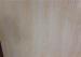 White Maple Waterproof Hardwood Flooring Unilin Click U Bevel Wooden Floating