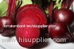 Fresh Beetroot (Colour: Deep red)