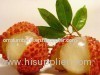 Fresh Lychee (Fresh Lychee)