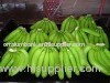 High Sugar Level Green Cavendish Banana