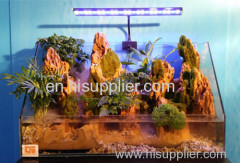 aquarium landscaping background board