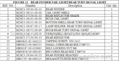 FIGURE 12 REAR FENDER/TAIL LIGHT/REAR TURN SIGNAL LIGHT