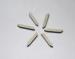 Custom tungsten carbide inserts / Cutter / tips dies/ nib / strips