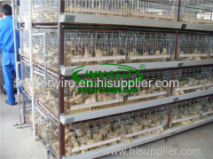 Baby Chicken Cage for sale
