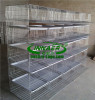 Quail Cages for sale