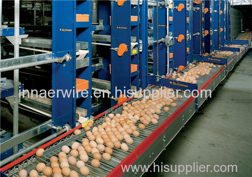 Automatic Egg Collecting Equipment
