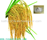 Factory Supply Rice bran extract/Ferulic cid 98%