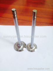 Farm Tractor Parts Diesel Engine Valves