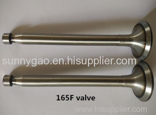 Inlet and Outlet Diesel Engine Valves