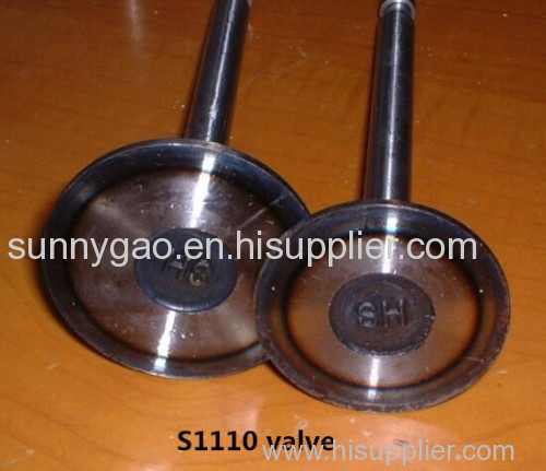 Inlet and Outlet Engine Valves