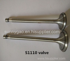 Inlet and Outlet Engine Valves